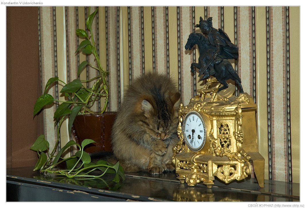 Александров, ч.1 (15.03.2009) 7874s_2.jpg