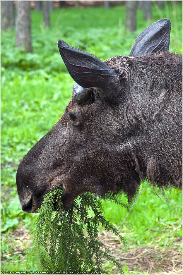 Беларусь 2010 (01-03.05.2010) 4223s_2.jpg