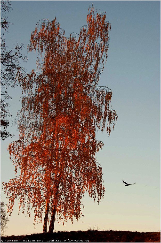 Царицыно (07.11.2011) 5852s.jpg