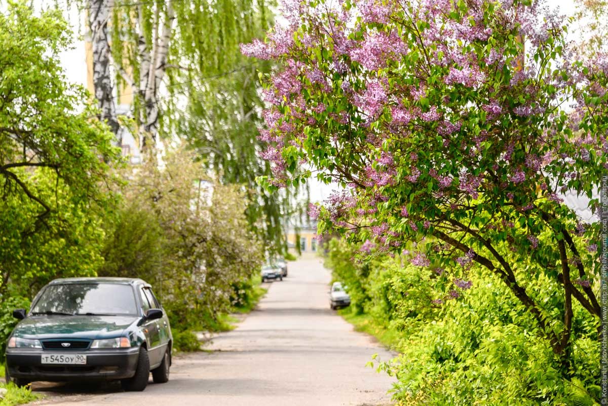 Коломенский кремль (15.05.2016) img3707s.jpg