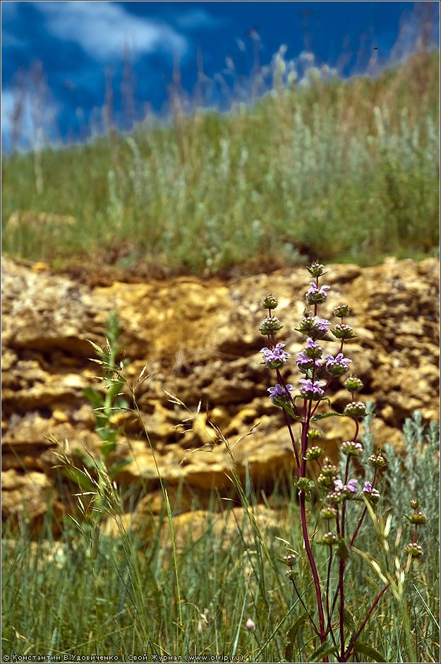 Липецкая и Тульская области (30.05.2010) 1158s_2.jpg