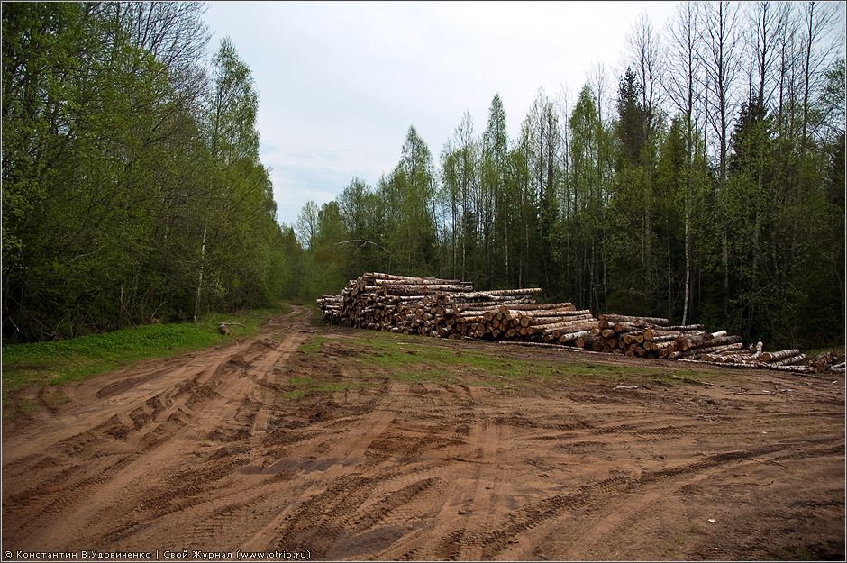 Новгородская область (10-15.05.2010) 0279s_2.jpg