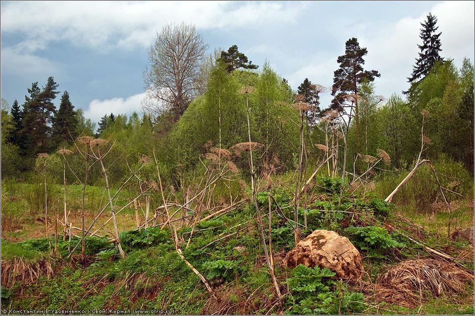 Новгородская область (10-15.05.2010) 0451s_2.jpg