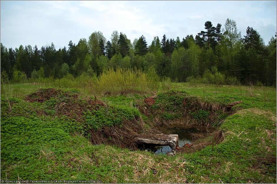 Новгородская область (10-15.05.2010) 0453s_2.jpg