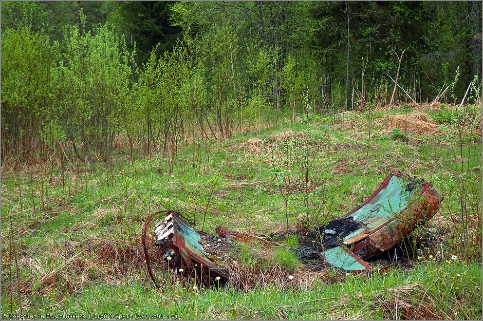 Новгородская область (10-15.05.2010) 0454s_2.jpg