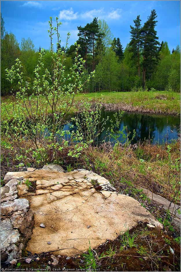 Новгородская область (10-15.05.2010) 0457s_2.jpg