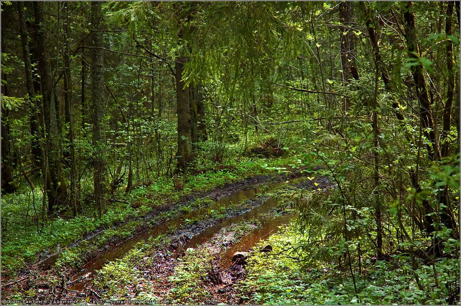 Новгородская область (10-15.05.2010) 0469s_2.jpg