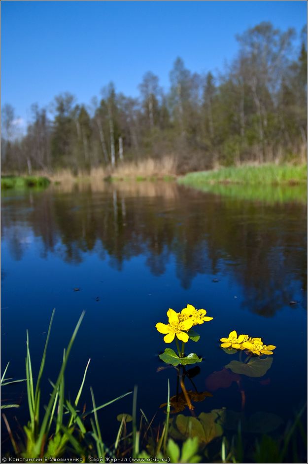 Новгородская область (10-15.05.2010) 0544s_2.jpg