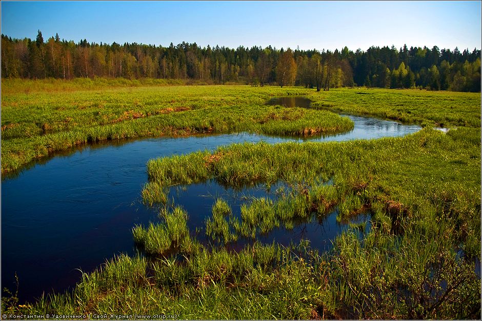 Новгородская область (10-15.05.2010) 0553s_2.jpg