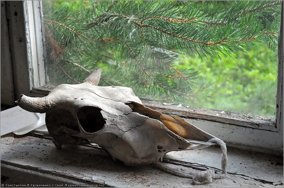 Пионерский лагерь 'Ромашка' (18.07.2010) 3586s_2.jpg