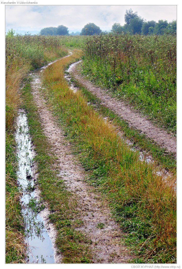По Рязанской области (25-29.07.2009) c3661s_2.jpg