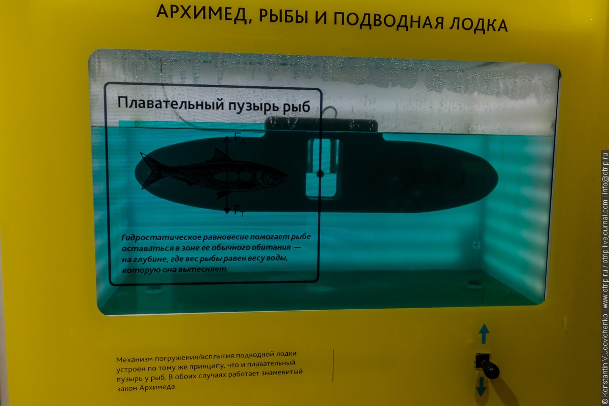 ВДНХ - Павильон Политех (22.04.2018) img0993s.jpg