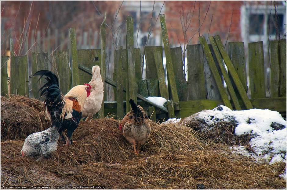 Рязань, вотчина Дервизов (18.12.2011) 0129s_2.jpg