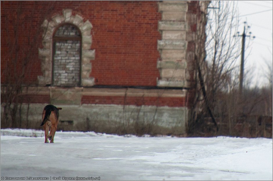 Рязань, вотчина Дервизов (18.12.2011) 0226s_2.jpg