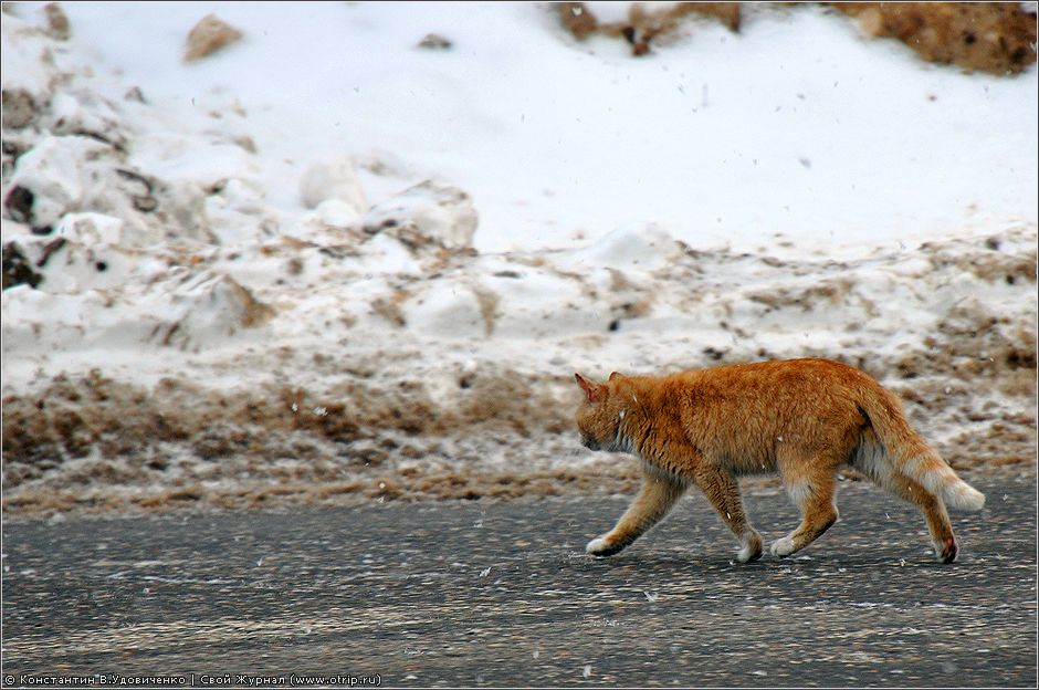 Шуя, Палех (7-8.3.2011) 4470s_2.jpg