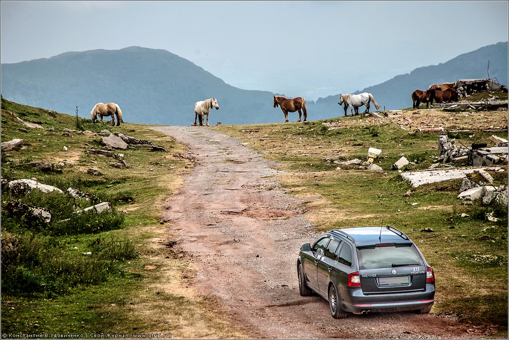 Skoda Octavia (fotoset) 3322s.jpg