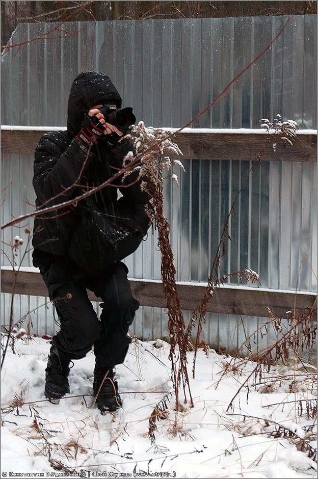 Усадьба Никольское-Прозоровское (03.12.2011) 7068s_2.jpg