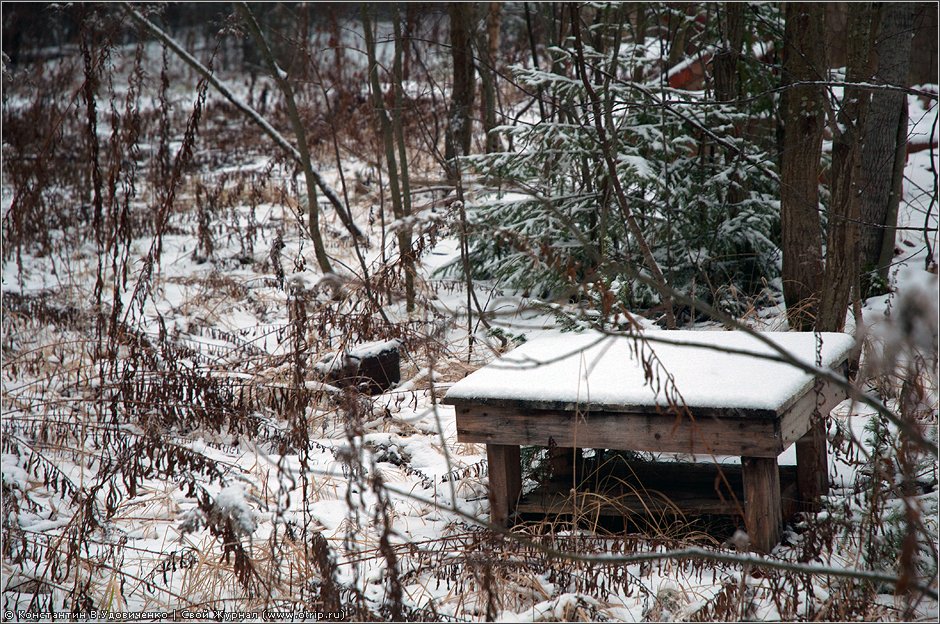 Усадьба Никольское-Прозоровское (03.12.2011) 7095s_2.jpg
