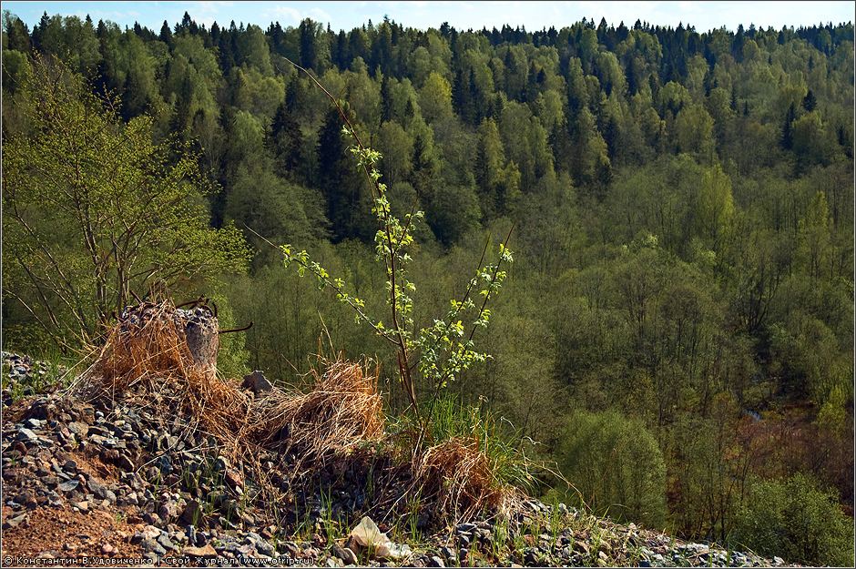 Веребьинский обход (14.05.2010) 0772s_2.jpg