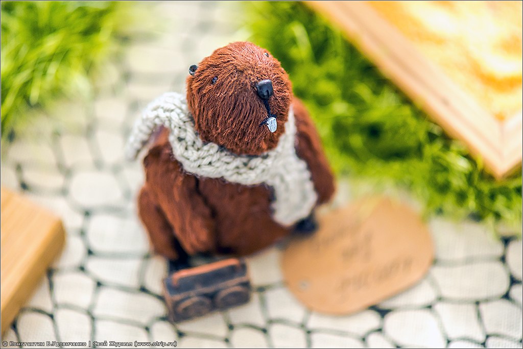 Выставка кукол "Панна DOLL'я" (29-30.03.2014) 122_6746s.jpg