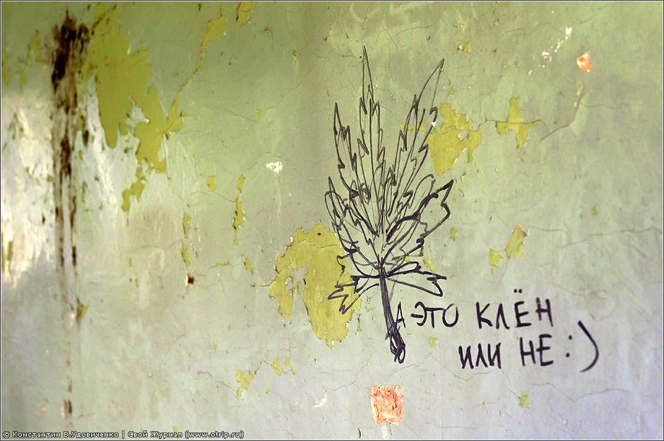 Хрюндель-сити (03.07.2010) 1105s_2.jpg